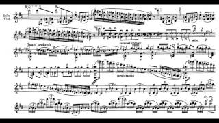 Tchaikovsky Violin Concerto in D major op 35 [upl. by Sarilda]