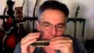 Four different Hohner Harmonicas Comparison [upl. by Sylvan]