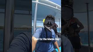 Snorkeling in Bali 🏖️🌊  Manta Rays  fun explore snorkeling mantaray nature ocean [upl. by Byrn81]