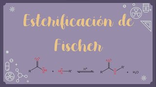 Esterificación de Fischer [upl. by Navy]