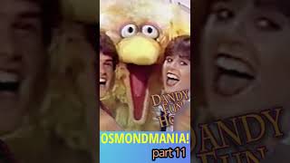 OSMONDMANIA pt 11  DONNY AND MARIE TAKE OVER THE WORLD donnyandmarie donnyosmond marieosmond [upl. by Halil]