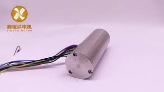 Coreless brushless dc motor with braker [upl. by Erdnaxela]