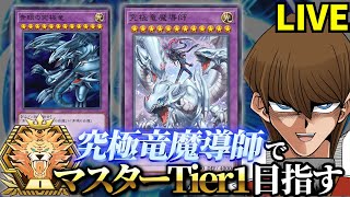 究極竜魔導師でマスターTier1を目指す決闘者【遊戯王マスターデュエル】 [upl. by Ahsemat]