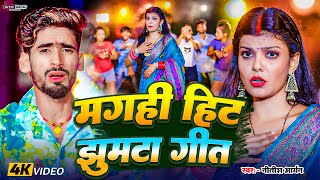 Nitish Aryan का New Song 2024  Nitish Aryan के हिट पे हिट गाने  Nitish Aryan NonStop Song 2024 [upl. by Oker]