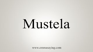 How To Say Mustela [upl. by Aneleasor]