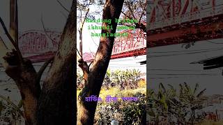 Hardinge bridge pabna kustia bangladeshbangladesh pabna kustia travel bridge travelvlog [upl. by Calla]