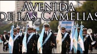 Marchas Militares Argentinas Av de las Camelias Himno Nacional Argentino Marcha de San Lorenzo Auror [upl. by Adigirb145]