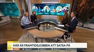 Här är framtidsjobben att satsa på  Nyhetsmorgon  TV4 amp TV4 Play [upl. by Ahsienom651]