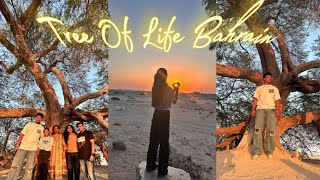 Tree Of Life  Bahrain [upl. by Norton904]