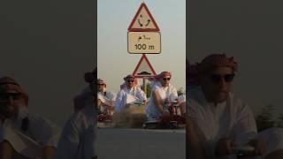 Crazy Carts in Dubai Full Video live taxigarage [upl. by Sivam]