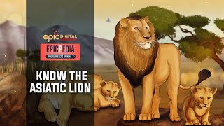 Know The Asiatic Lion  EPICPEDIA  Exclusive Video  Ep 7  Epic Digital Originals [upl. by Niraa803]