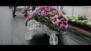 Steel frames for succulents plantsflowers Wire sculpture [upl. by Aleuqahs]