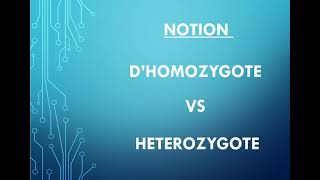 homozygote VS hétérozygote [upl. by Llener144]