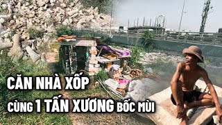 Người đàn ông sống bên lề đường cùng với cả Tấn Xương đã Bốc Mùi [upl. by Atiral]