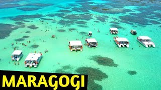 🔴 5 MELHORES PRAIAS de MARAGOGI ALAGOAS DRONE 🌅😎🌴 [upl. by Peace]