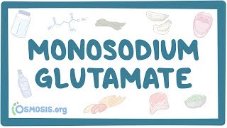 Monosodium glutamate [upl. by Nahpets]