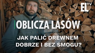 Jak palić drewnem dobrze i bez smogu  Oblicza lasów 10 [upl. by Eirrehs603]