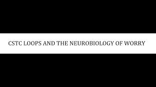 STAHLS  CH 9  PART 3  CSTC LOOPS AND THE NEUROBIOLOGY OF WORRY  psychiatrypsychopharmacology [upl. by Une]