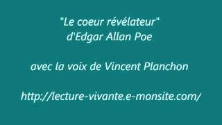 Livre audio  Le coeur révélateur  Edgar Allan Poe [upl. by Sadoc650]