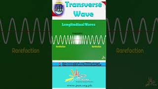 Example of Transverse wave I Transverse wave I Physics I physics learning penacademy [upl. by Otilesoj]