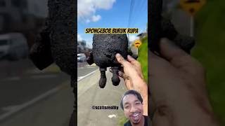 Bantu Spongebob Buruk Rupa spongebob satisfying help experiment recover garbage comeback wow [upl. by Asina]