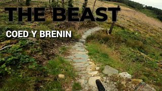 Riding MTB at the Oldest Trail Centre in the UK  The Beast at Coed Y Brenin [upl. by Enitsyrhc]