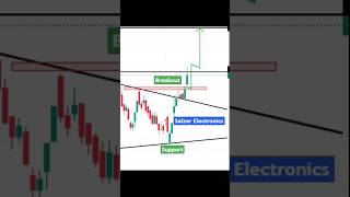 Salzer Electronics Share Analysis  Salzer Electronics Share  Salzer Electronics Stock Analysis [upl. by Beckie]