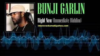 Bunji Garlin  Right Now Immediate Riddim [upl. by Vasilis]