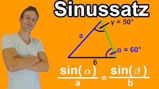 Sinussatz  Leichte Einführung  Alles was du wissen musst mit Aufgaben Lösung  LehrerBros [upl. by Wickner22]