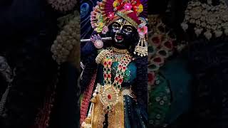 হরে কৃষ্ণ🙏🙏 ॥ Hare Krishna music harekrishnamusic dance iskcontemplesongs festival iskcontem [upl. by Enylrac]