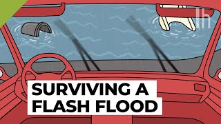 Everything You Need to Know During a Flash Flood [upl. by Behl910]