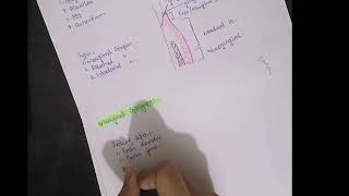 Anatomy of periodontium [upl. by Nart]