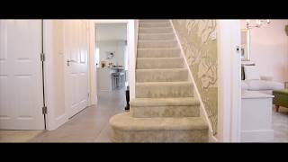 David Wilson Homes  The Bradgate  Kingsbourne Nantwich [upl. by Anayhd580]