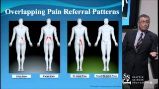 Sacroiliac Joint Pain Diagnosis and Treatments [upl. by Ermengarde]