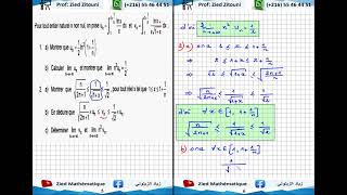 24  Logarithme Népérien Et Suite Réelle  Exercice Bac Science Session Principale 2023 [upl. by Eynttirb]