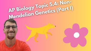 54 NonMendelian Genetics  AP Biology [upl. by Studnia776]