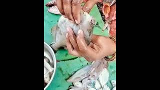 கிளாத்தி மீன்leatherjacket fishfishcutting [upl. by Kamaria]