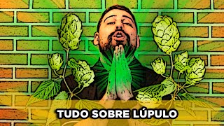 Lúpulo  Tudo que Você Precisa Saber [upl. by Leirbma816]