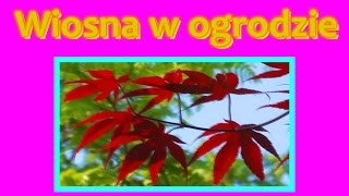 Wiosna w ogrodzie [upl. by Sissy]