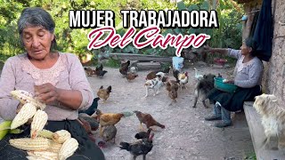 Así vive una mujer trabajadora del campo⛏️🥔🥣🐑🐓🐦🍲🌳🐄 [upl. by Ettelegna]