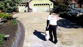 Endurable Stamped Concrete Staining [upl. by Eiznekam663]