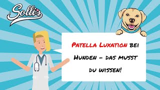 Patella Luxation beim Hund  Symptome amp Behandlung [upl. by Claribel]