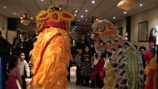 Tet Nham Thin 2012 Purmerend Holland 3a30 Mua Lan Lion dance  Leeuwendans [upl. by Inajar939]