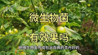 微生物菌剂有效果吗？为何有人说智商税？如何使用效果好？ [upl. by Osgood]