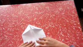 How to make an origami bird beak [upl. by Altman]