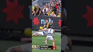 Dustin Martin’s 2020 Grand Final Goal As Called By Triple M Footy 🐯 [upl. by Dweck160]