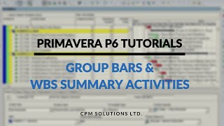 Primavera P6 Tutorial 6 Whats The Deal with Groups Bars and How WBS Summary Activities Can Help [upl. by Elleinet222]