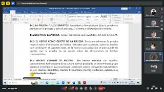 Derecho Procesal Civil 1 240506 [upl. by Enrobyalc]