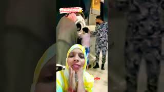 Mubarak Makka Sharif Makka Madina short song video [upl. by Nosnor541]