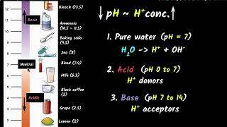 Properties of acidbases amp pH importance  Acids bases amp salts  Chemistry class 10  Khan Academy [upl. by Arly526]